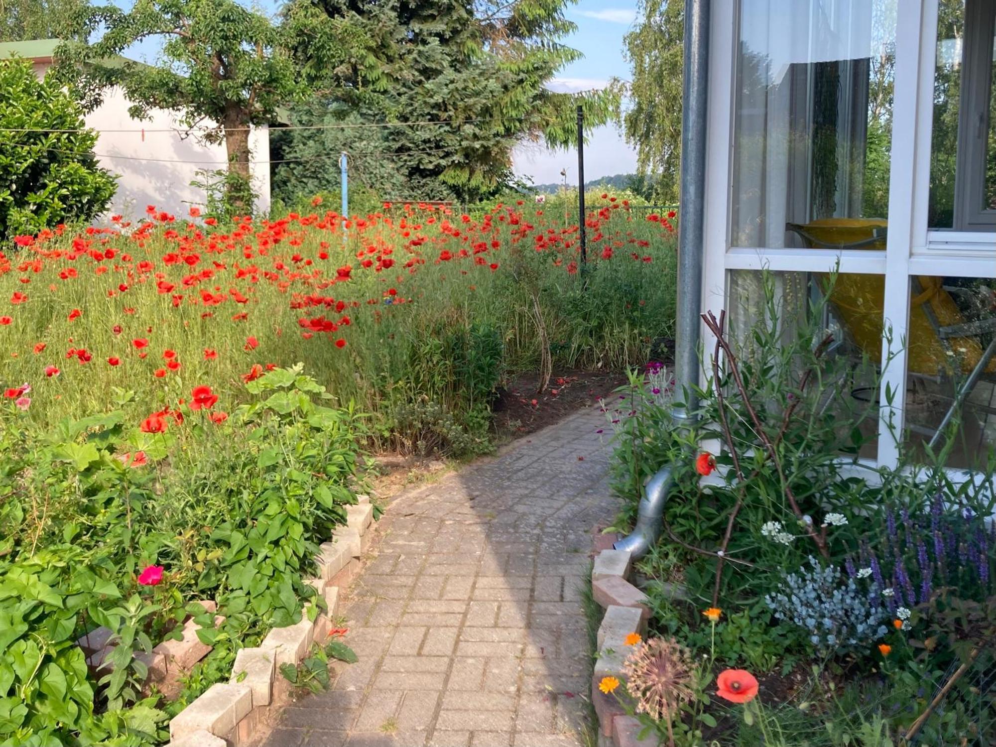 Ferienhaus Am Wasser Im Gruenen Zecherin Extérieur photo
